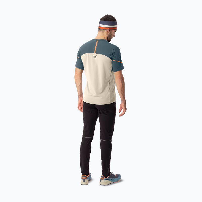 Pánské běžecké tričko DYNAFIT Alpine Pro overcast/0720 3