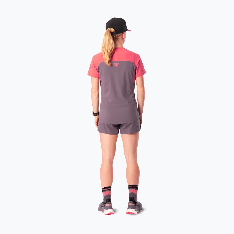 Dámské běžecké tričko Dynafit Alpine Pro SS Tee cabana/6A90 2