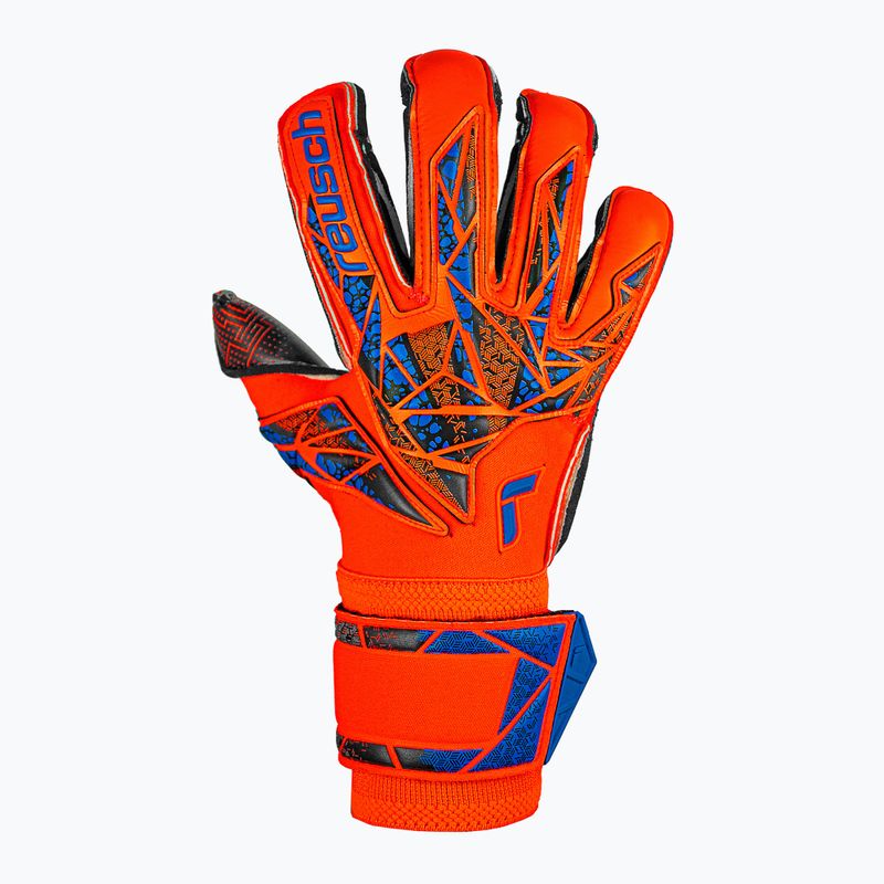 Brankářské rukavice  Reusch Attrakt Gold X Evolution GluePrint hyper orng/elec blue/blck 2