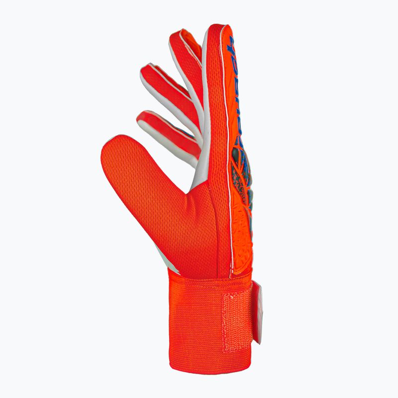 Brankářské rukavice Reusch Attrakt Starter Solid bright red/future blue 4