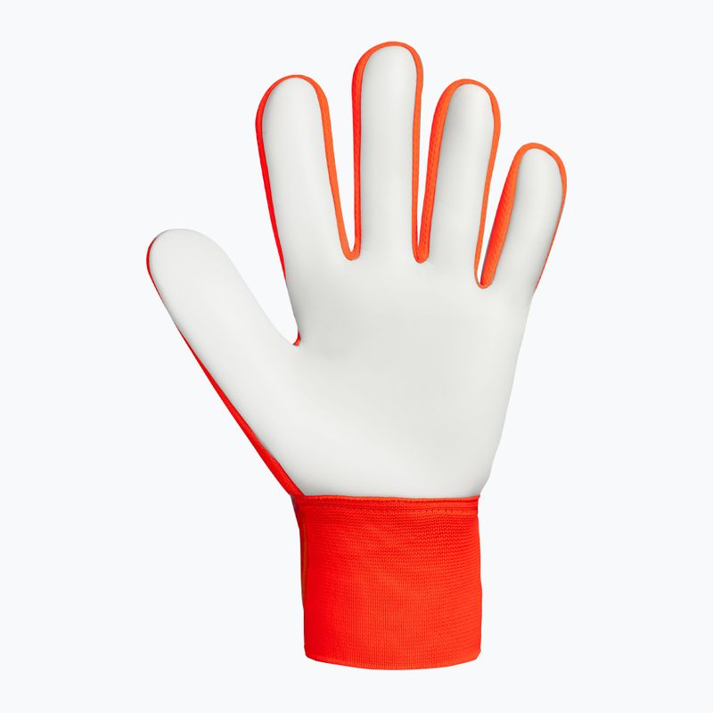 Brankářské rukavice Reusch Attrakt Starter Solid shocking orange/blue 3
