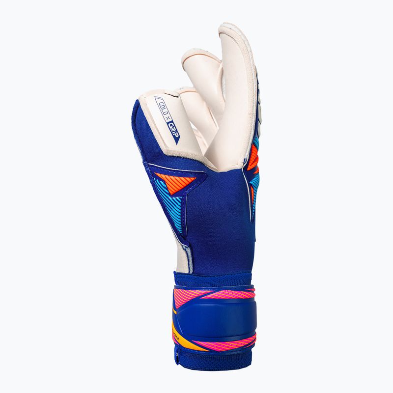 Brankářské rukavice Reusch Attrakt Gold X Evolution sharp blue/white/shocking orange 4