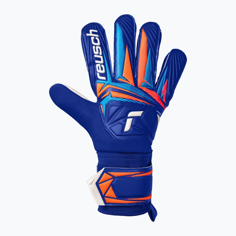 Brankářské rukavice Reusch Attrakt Starter Solid sharp blue/white/shocking orange 2