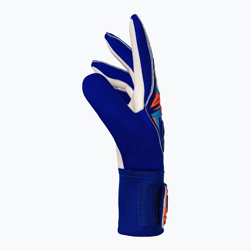 Brankářské rukavice Reusch Attrakt Starter Solid sharp blue/white/shocking orange 4