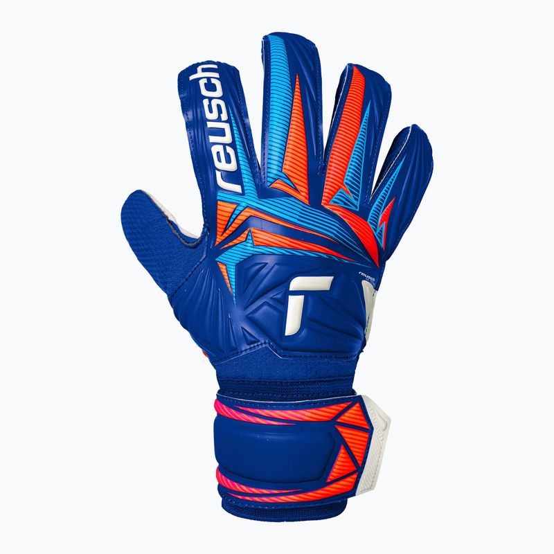 Brankářské rukavice Reusch Attrakt Solid sharp blue/white/shocking orange 2