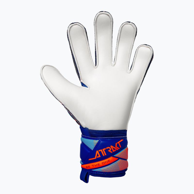 Brankářské rukavice Reusch Attrakt Solid sharp blue/shocking orange 3