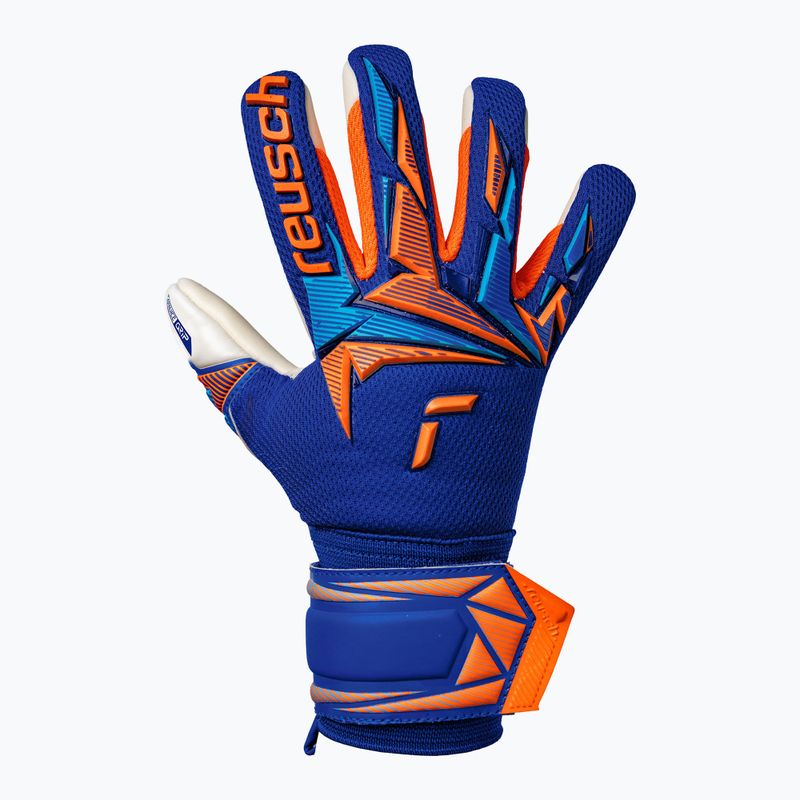 Dětské brankářské rukavice Reusch Attrakt Freegel Advance Junior sharp blue/shocking orange 2
