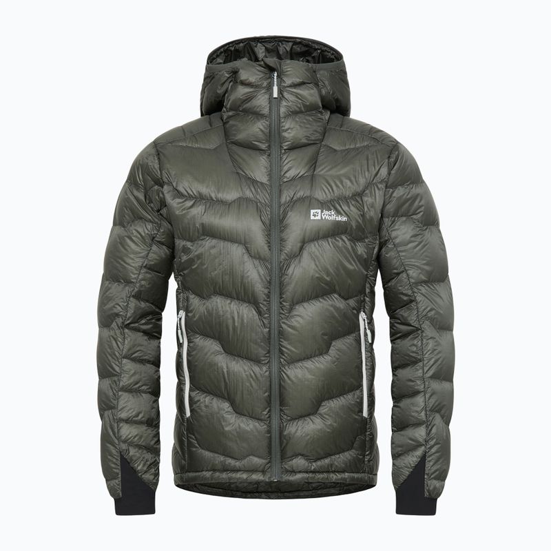 Pánská péřová bunda Jack Wolfskin Alpspitze Down Hoody slate green 6