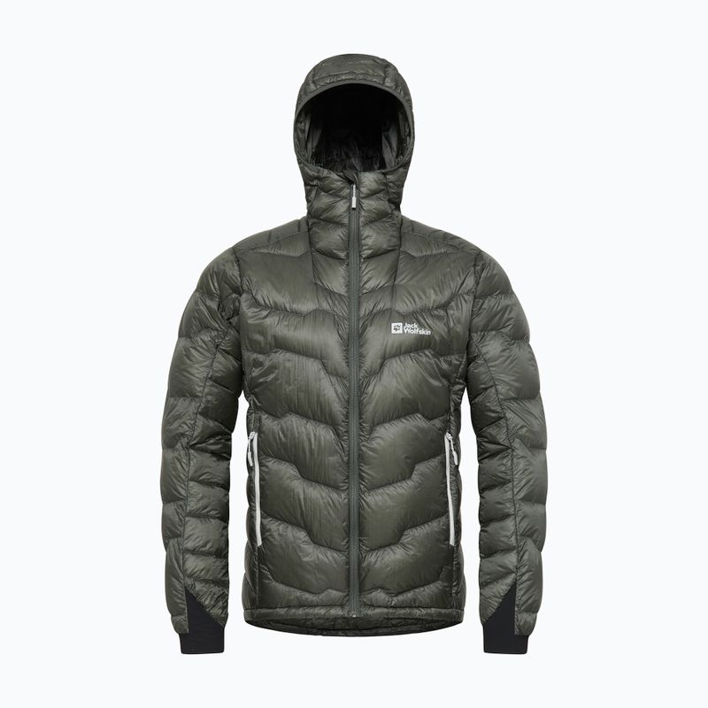 Pánská péřová bunda Jack Wolfskin Alpspitze Down Hoody slate green 7