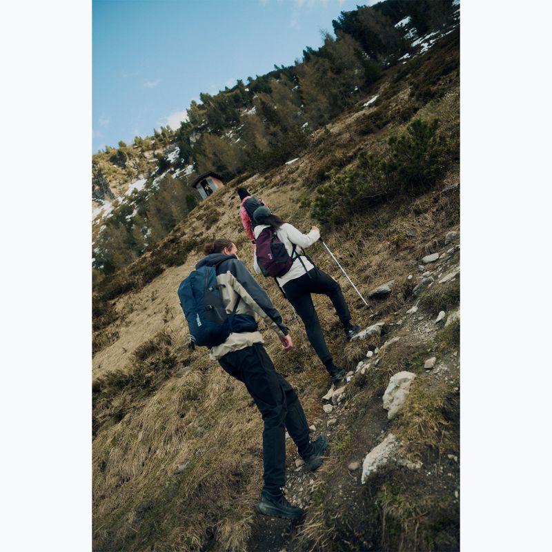 Pánské turistické boty Jack Wolfskin Wild Hike Texapore Mid black 10