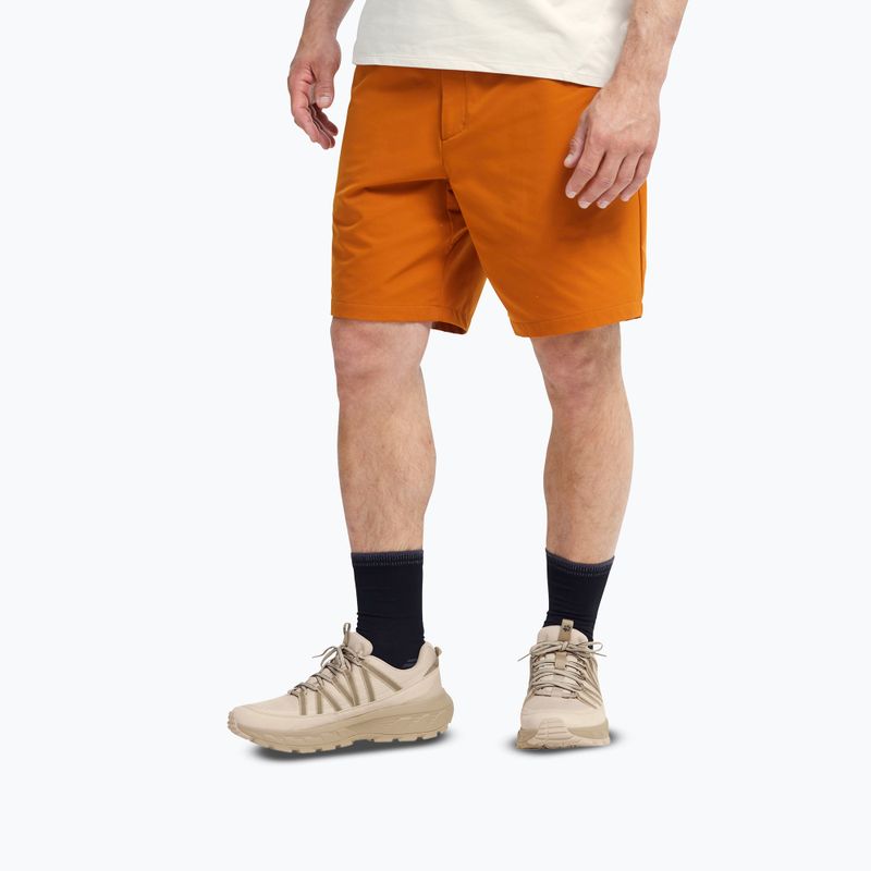 Pánské turistické boty Jack Wolfskin Wild Hike Texapore Low oyster 4