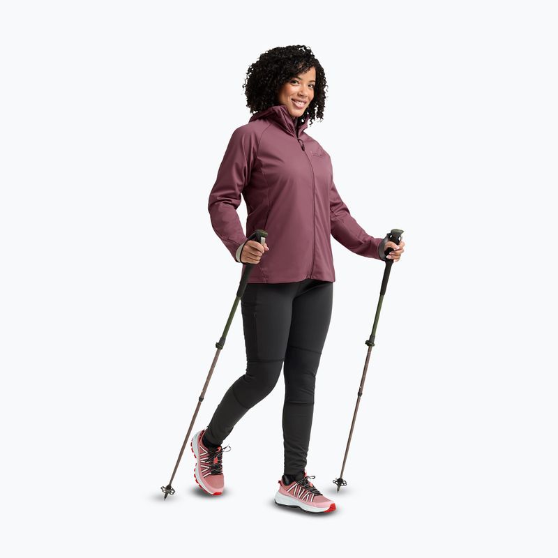 Dámské turistické boty Jack Wolfskin Wild Hike Texapore Low rosegarden 6