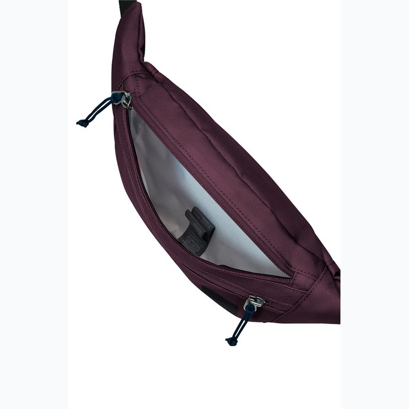Ledvinka Jack Wolfskin Konya Hipbag 2 l amarantová 4
