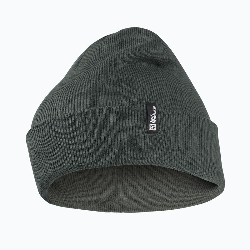 Zimní čepice Jack Wolfskin Rib slate green