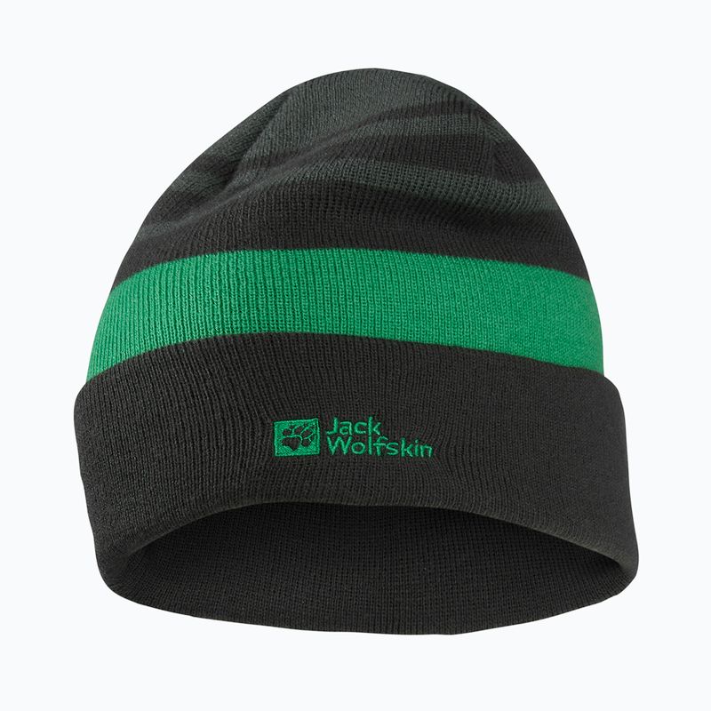Dětská zimní čepice Jack Wolfskin Stripy Knit slate green/mystic