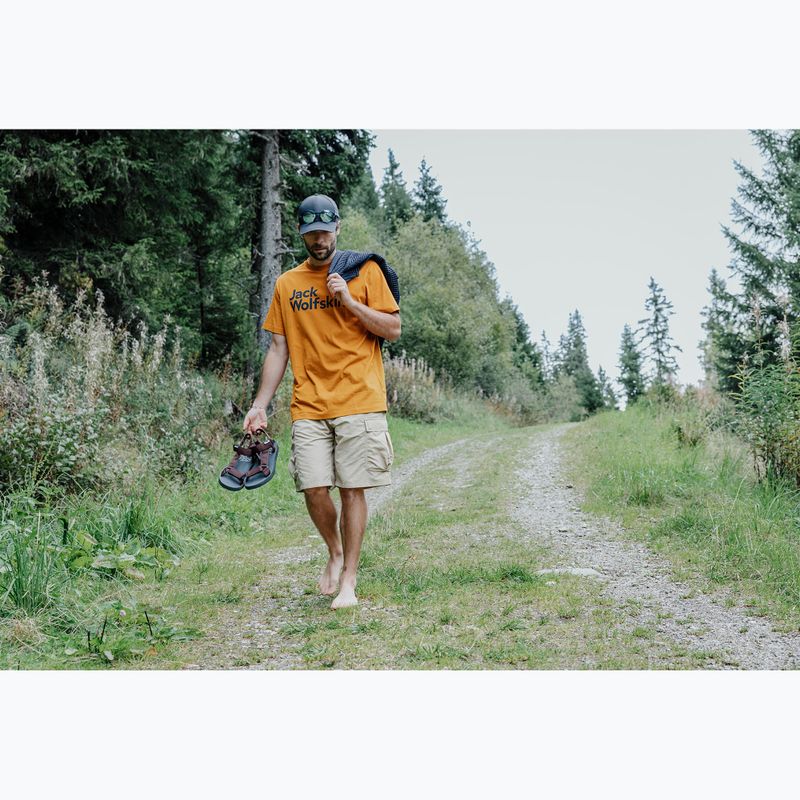 Pánské sandály Jack Wolfskin Taiga dark mahogany 7