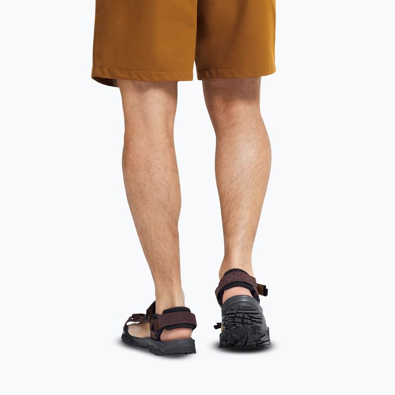 Pánské sandály Jack Wolfskin Ridge dark mahogany 9