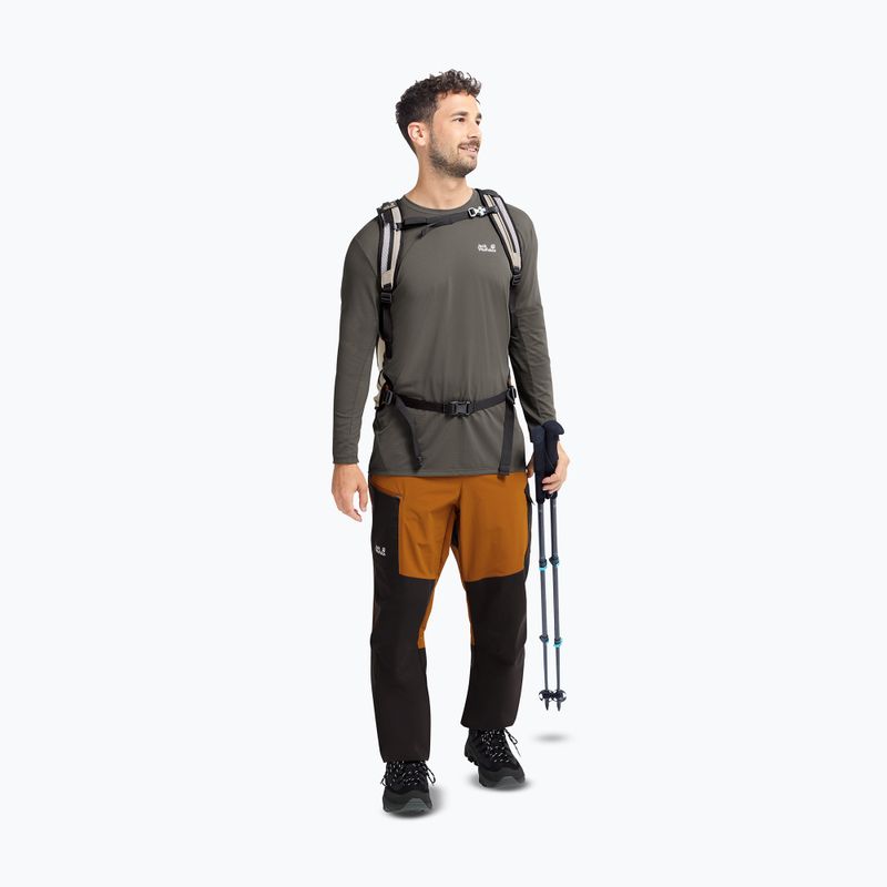Pánské trekové boty Jack Wolfskin Apex Hike Texapore Low black 7