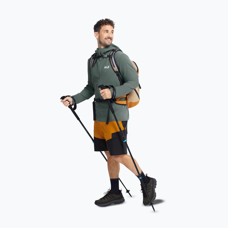 Pánské trekové boty Jack Wolfskin Apex Hike Texapore Low obsidian moss 7
