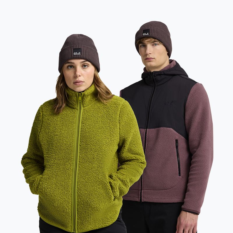 Zimní čepice Jack Wolfskin Pergamon Beanie sheer plum 4