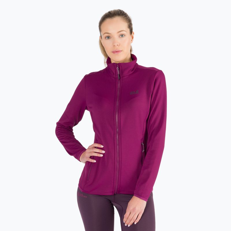 Dámská fleece mikina Jack Wolfskin Peak Grid Fleece fialová 1710351