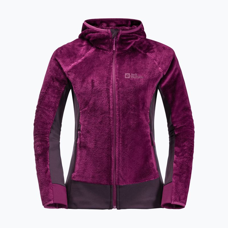 Dámská fleece mikina Jack Wolfskin Rotwand Hooded fialová 1710741 8