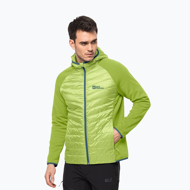 Pánská hybridní bunda Jack Wolfskin Routeburn Pro Hybrid zelená 1710511