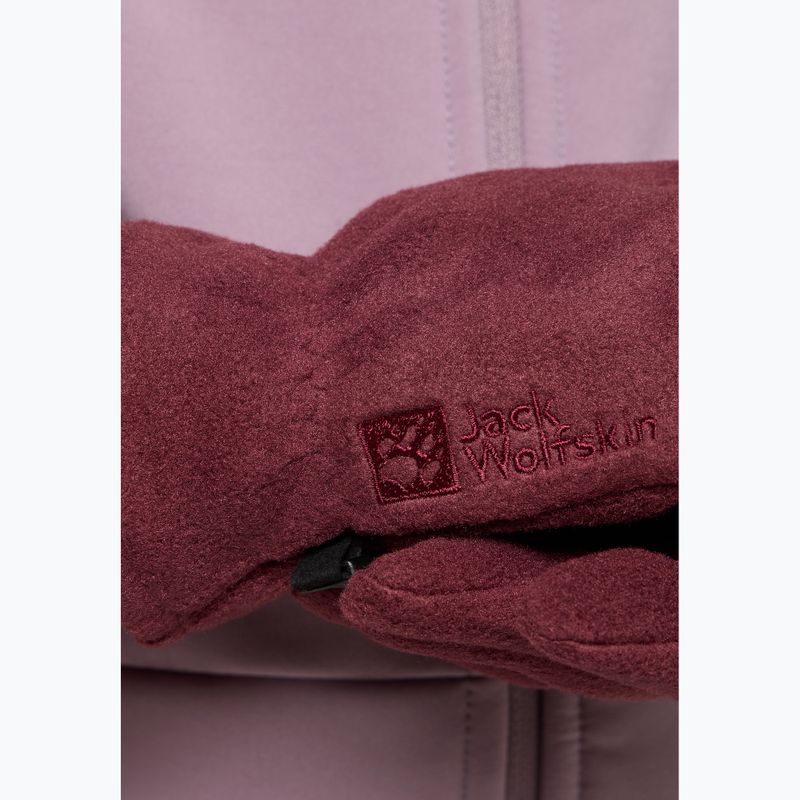 Dětské rukavice Jack Wolfskin Fleece Glove boysenberry 3