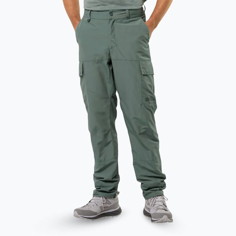 Pánské trekové kalhoty Jack Wolfskin Barrier hedge green