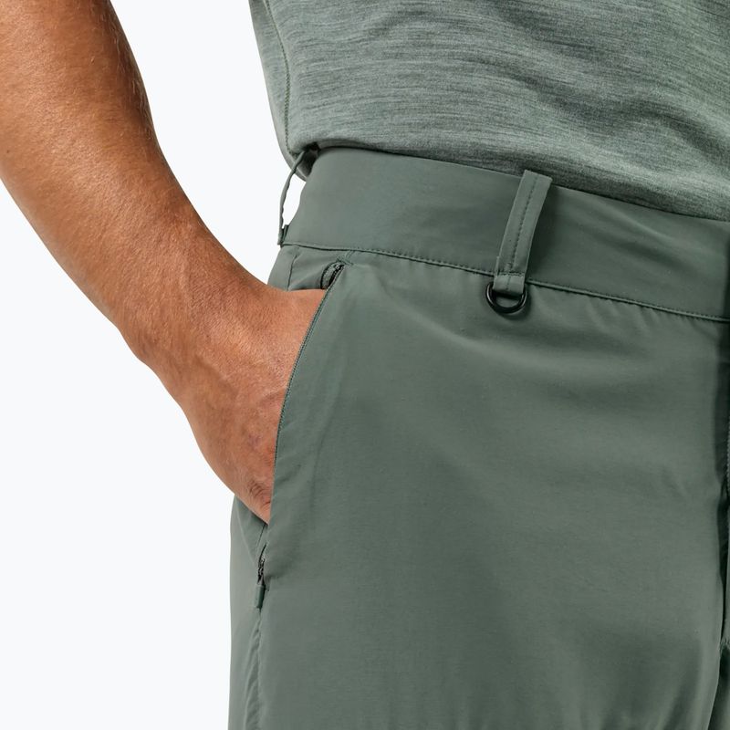 Pánské trekové kalhoty Jack Wolfskin Barrier hedge green 3