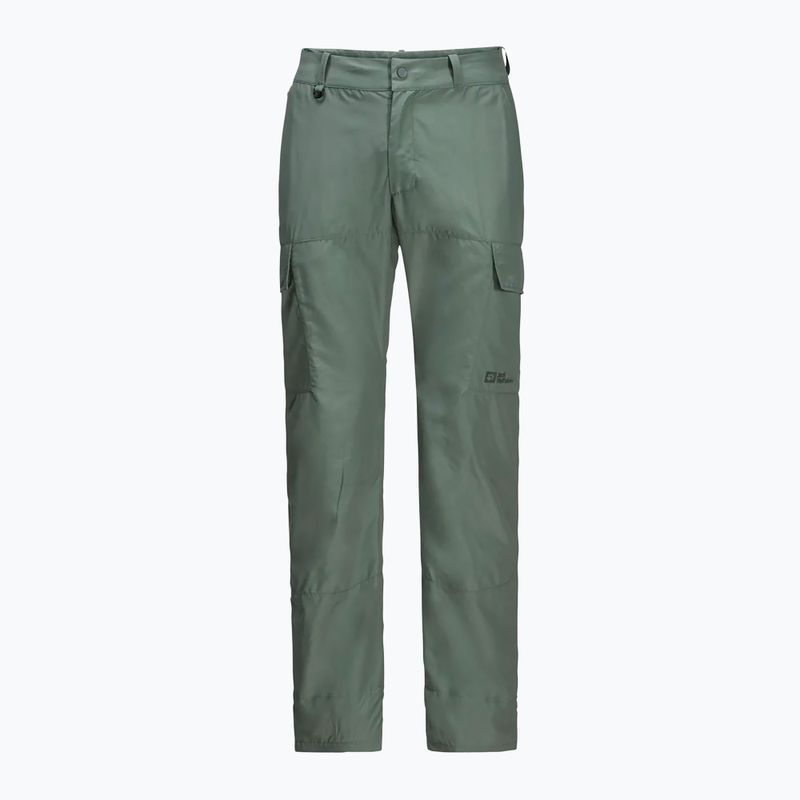 Pánské trekové kalhoty Jack Wolfskin Barrier hedge green 6