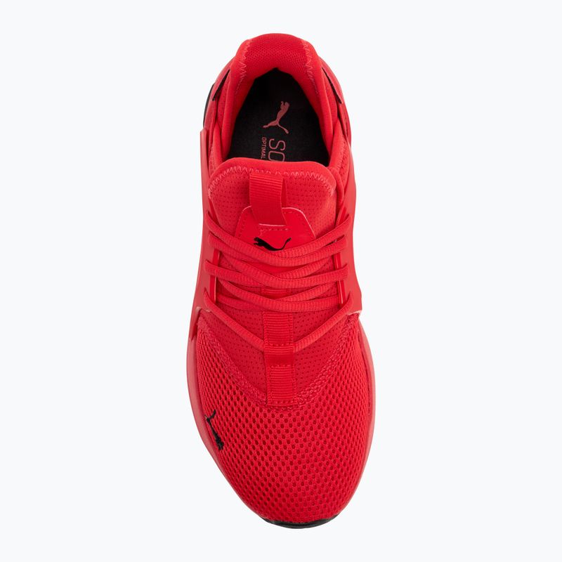 Pánská běžecké boty PUMA Softride Enzo Evo high risk red/puma black 5