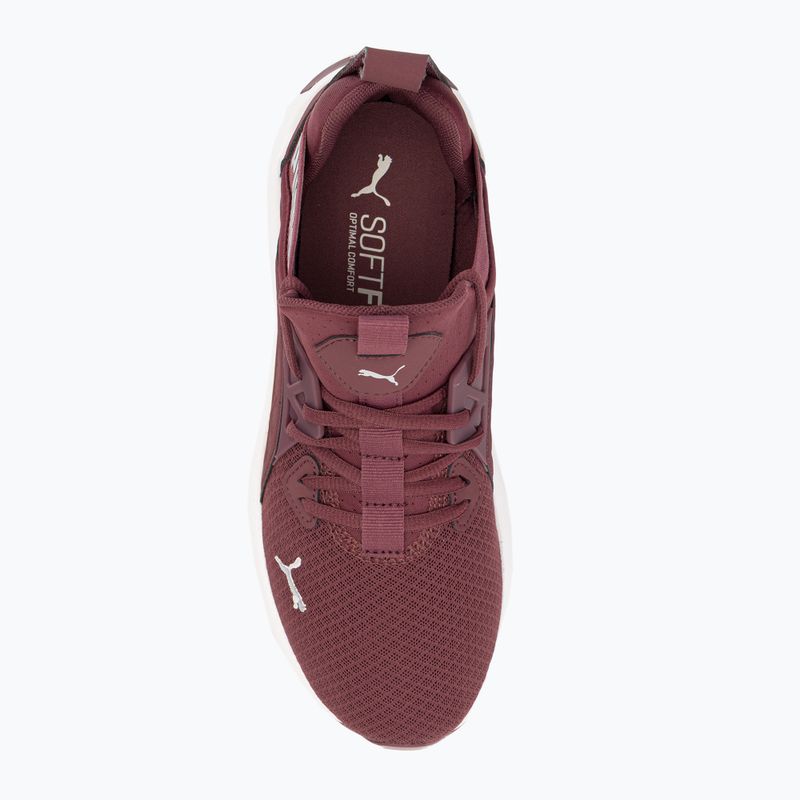Dámská běžecká obuv PUMA Softride Enzo Nxt maroon 195235 17 6