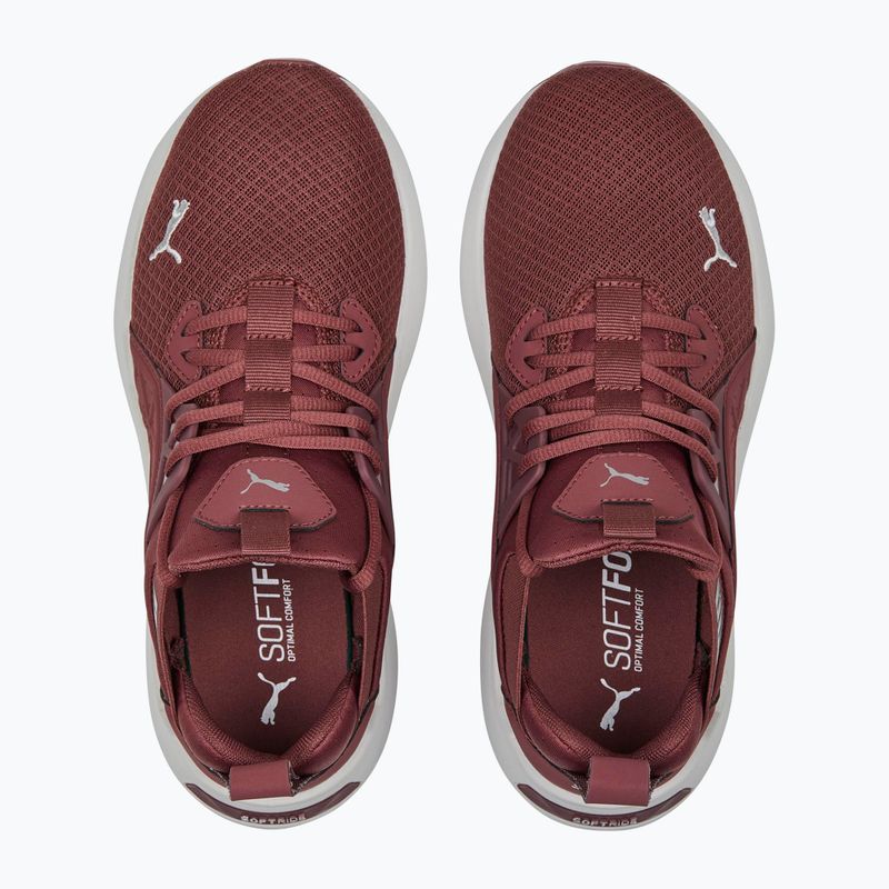 Dámská běžecká obuv PUMA Softride Enzo Nxt maroon 195235 17 14