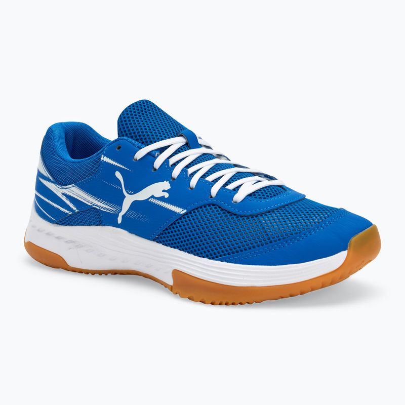 Pánské sálové boty PUMA Varion II puma team royal/puma white/gum