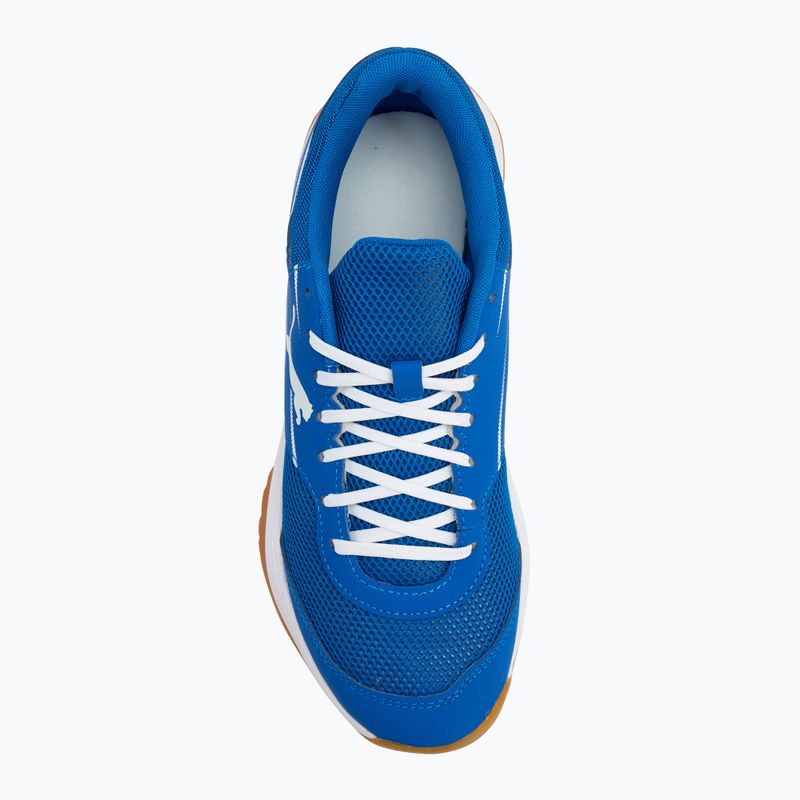 Pánské sálové boty PUMA Varion II puma team royal/puma white/gum 5