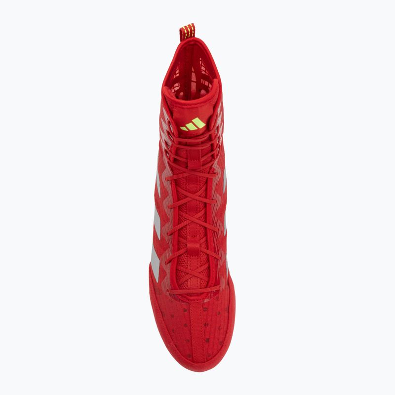 Boxovací boty adidas Box Hog 4 red 5