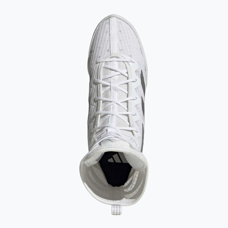 Boxerské boty adidas Box Hog 4 white/silver 5