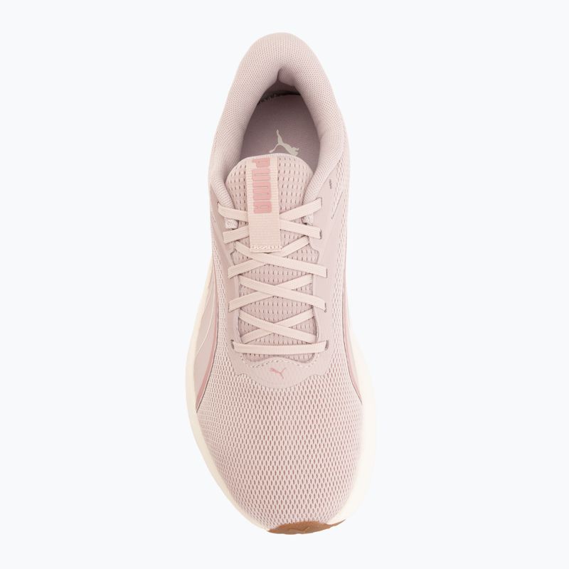 Běžecké boty Puma MaxStride Lite puma black/dusky rsewood 5