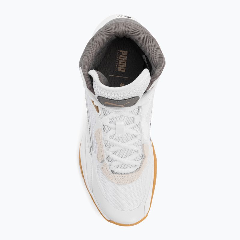Pánské basketbalové boty PUMA Playmaker Pro Mid Trophies ash gray/cast iron/puma gold 6