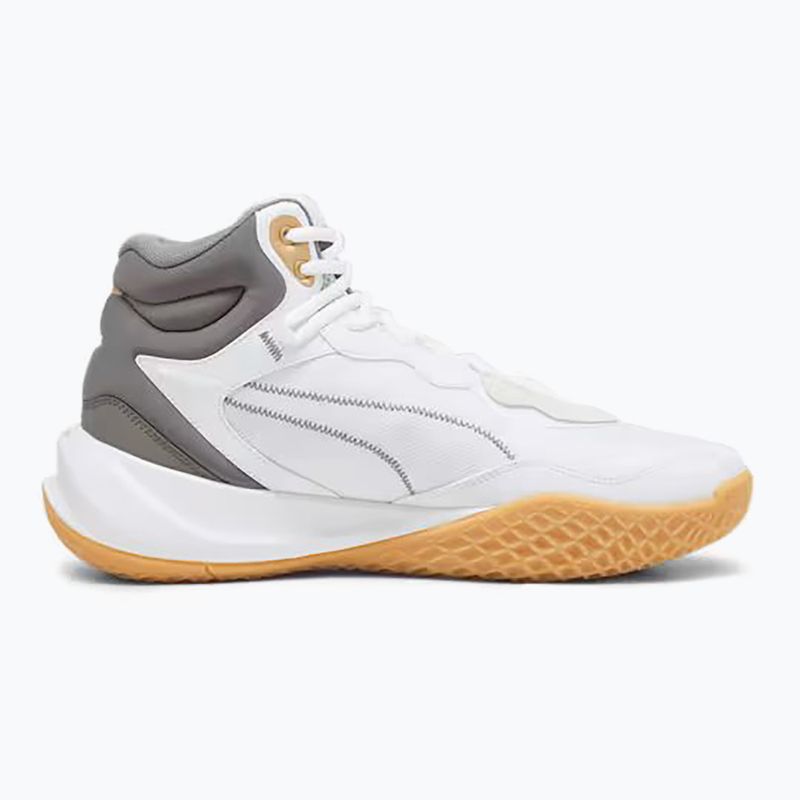 Pánské basketbalové boty PUMA Playmaker Pro Mid Trophies ash gray/cast iron/puma gold 9