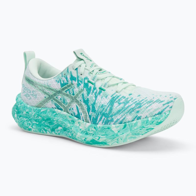 Pánské běžecké boty ASICS Noosa Tri 16 soothing sea/white