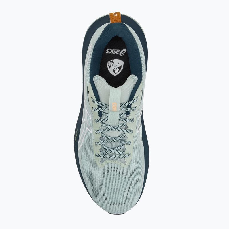 Pánské běžecké boty ASICS GT-1000 14 TR nature bathing/lichen rock 5