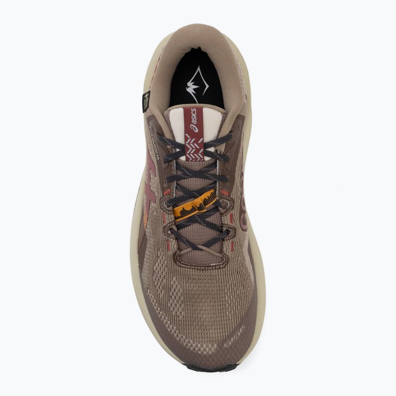 Pánské běžecké boty Asics Trabuco 14 Gtx taupe grey/oatmeal 5
