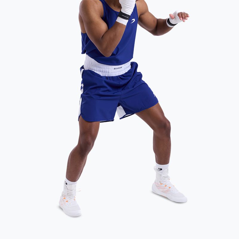 Pánské tréninkové šortky Boxraw Stevenson V2 blue/white 5