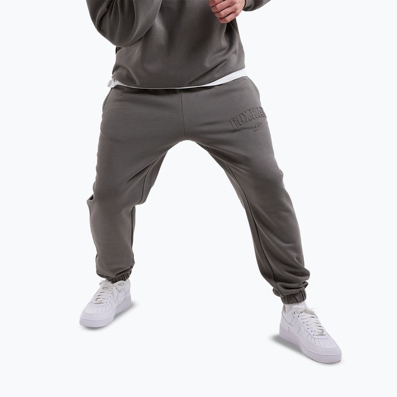 Pánské kalhoty Boxraw East Street Bottoms distressed grey 4