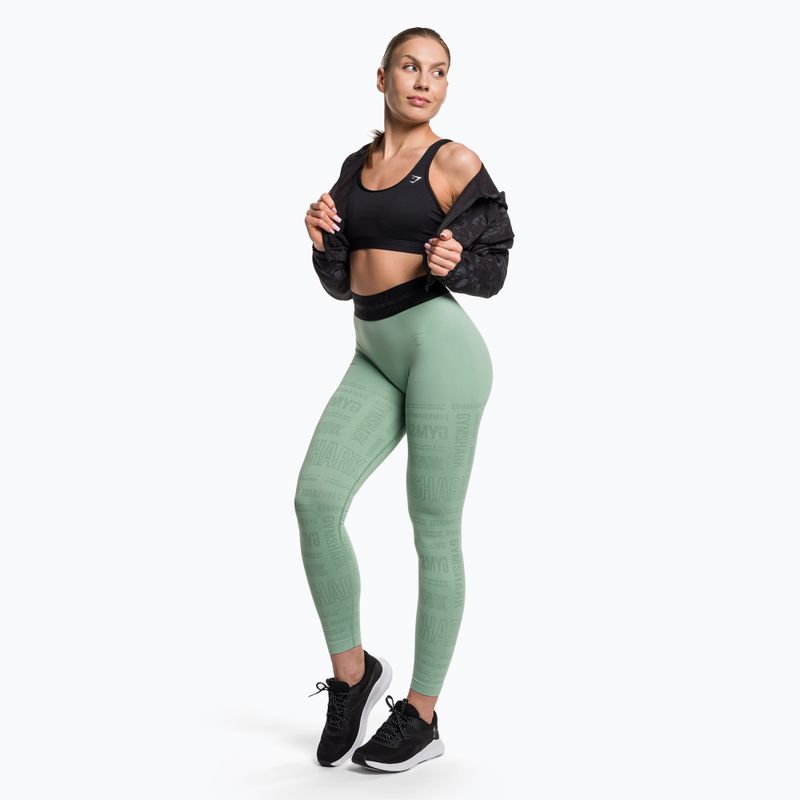 Dámské tréninkové legíny Gymshark Vision green/black 2