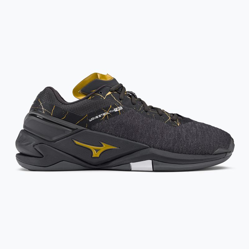 Pánská házenkářská obuv Mizuno Wave Stealth Neo black X1GA200041 2