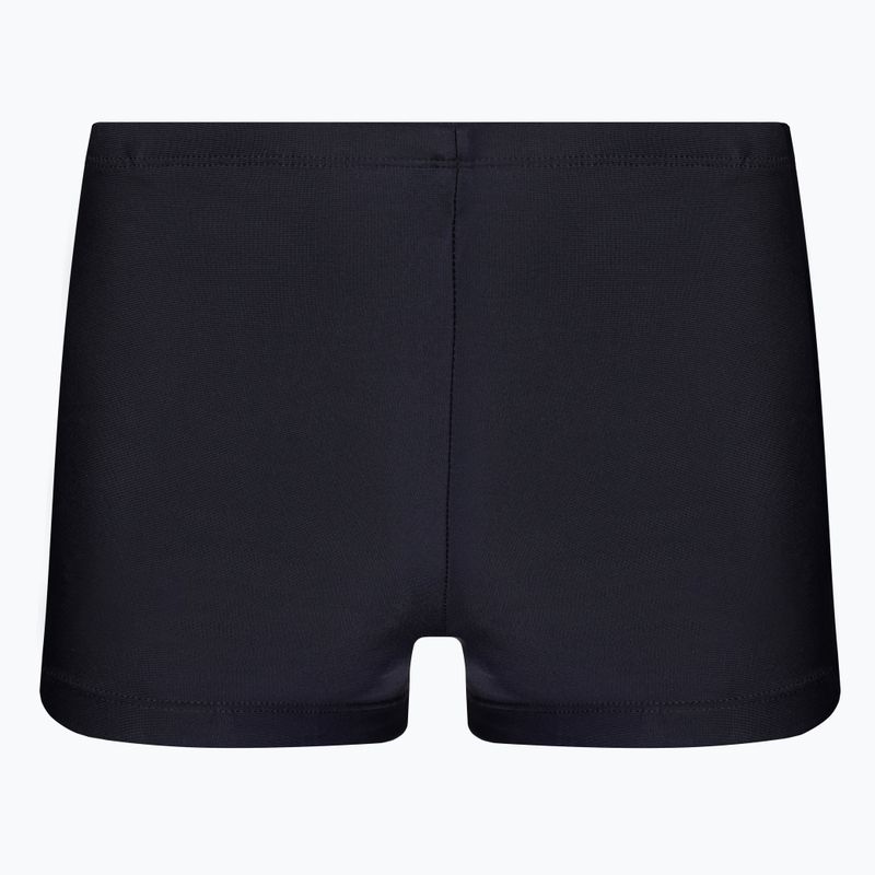 Pánské plavky Nike Liquify Aquashort zelené NESSB565