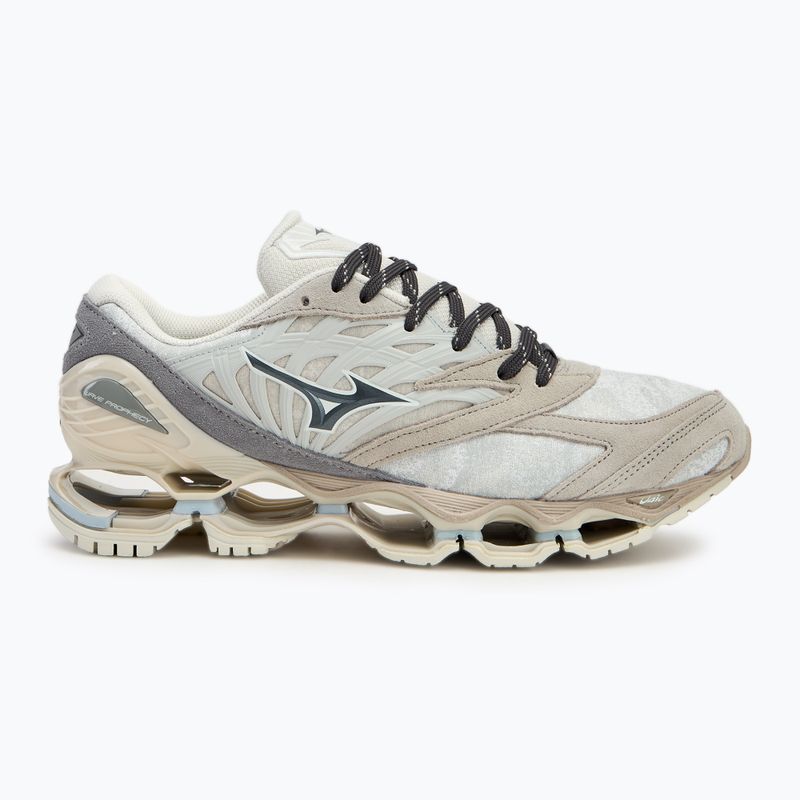 Boty  Mizuno Wave Prophecy LS nimbus cloud/magnet/silver cloud 2